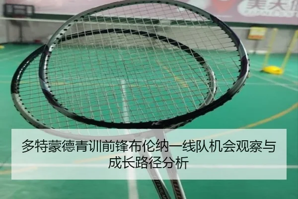 多特蒙德青训前锋布伦纳一线队机会观察与成长路径分析